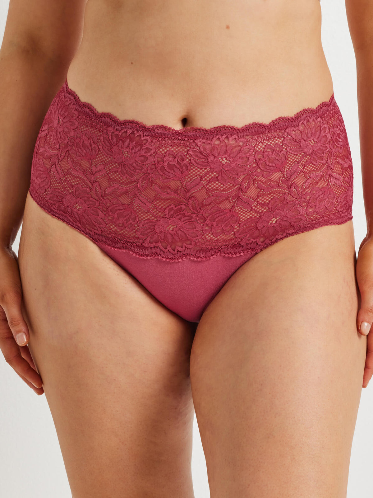 Daily Essentials Cotton &amp; Floral Lace Full Brief (465N)