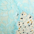 12DD / Tanager Turquoise_Print